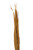 OCEANA PALM BROWN (25 PC TO PACK)