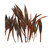 PALM PADDLES, MINI DARK BROWN  (30 Pieces per Pack)