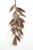 SMALL MYRTLE BRANCH NATURAL/BROWN (Set of 6)