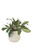 Greenery with Berries and Two Toned Glazed Pot