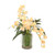 Champagne Yellow Orchids in Moss Garden