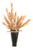 Pampas Plumes in Black Fugi Vase