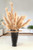 Pampas Plumes in Black Fugi Vase