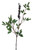 WILD BERRY SPRAY -BLACK  (Set of 12)