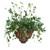 Greenery in Wall Pocket