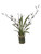 Oncidium Orchid Foliage with Spider Orchids in Wire Vase