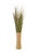 MIXED GRASSES IN NAILHEAD