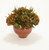 Hydrangeas In Autumn Copper Stoneware Vase