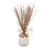 Mayan Reeds with Money Plant in Two Tone Planter