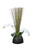 Phalaenopsis Orchid Garden In Bamboo Planter