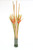 DARK ROSE HELICONIA WITH PHILOLEAVES AND RATTAN IN CYLINDER