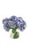 Baby Blue Hydrangea's in Glass Cylinder
