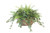 Mountain Ivy and Lace Fern in Metal Planter
