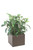 Ruscus Foliage in Dark Brown Planter Box