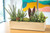 Succulent Garden Mix in Tan Rectangular Box