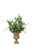 Bayleaf Mixed with Pittosporum in Classic Small Urn