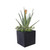 Agava Plant with Mixed Succulents