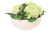 Real Touch Green Hydrangeas with Berries in White Bowl