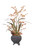 Gold Brown Oncidium Orchids with Pods, Platys Cone, Palm Paddles