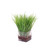 Waterlook® Grass in Glass Square Cube