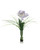 Soft Blue Parrot Tulips in Vase (set of 2)