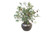 Olive Tree Branches in Bronze Stoneware Vase