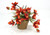 Rust Orchids and Orchid Foliage in Stained Pot