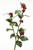 WISLEY PEARL SPRAY X 2BURGUNDY-PLUM (Set of 12)