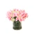 Pink Amaryllis and Green Snowballs in Glass Vase
