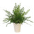 Set of 3 Greenery Assortment in Cream Vase