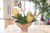 Yellow Green Proteas in Gold Lacquered Bowl