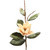 LG MAGNOLIA SPRAY X 1-Set of 6