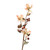 DOGWOOD W/BERRY - BEIGE-Set of 6