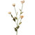 CHAMOMILE - WHITE-Set of 12