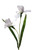 IRIS X 2, SOFT BLUE-Set of 6