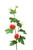 STRAWBERRY, NATURAL RED-Set of 12