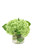 Waterlook® Green Hydrangeas in Glass Cylinder