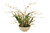 Gold Onicidium Orchid in Porcelain Bowl