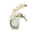 Waterlook® White Orchid Arrangement with Split Philo Leaf in Curved Rectangular Glass Vase