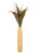 Green-Brown Tropical Leaves, Seeded Branches in Cork-Finish Floor Vase