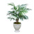 Palm in Beige Urn