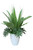 Tropical Foliage in White Fiberglass Planter