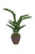 ZZ Plant in Square Bronze Metal Contempo Planter