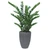 ZZ Plant X3 in Vertical Ridge Planter