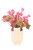 Cyclamen plant in Beige Planter