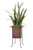 Sanseveria in Metal Stand with Basket Liner