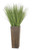 Grass in Bamboo Planter