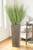 Grass in Bamboo Planter