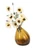 White Poppy in Amber Gourd Vase