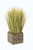 Grass in Wood Bamboo Box